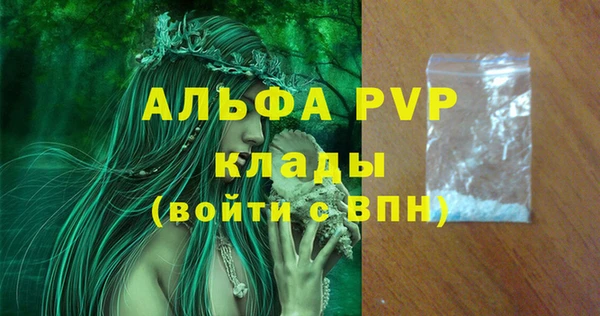 ECSTASY Елизово