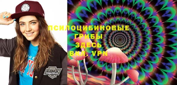 ECSTASY Елизово