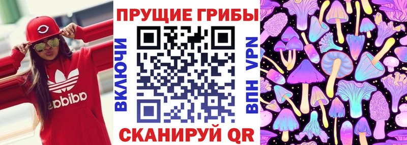 Галлюциногенные грибы MAGIC MUSHROOMS  Купить  Кинель 